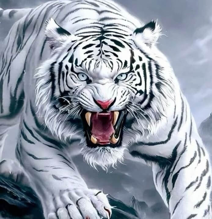Animaux